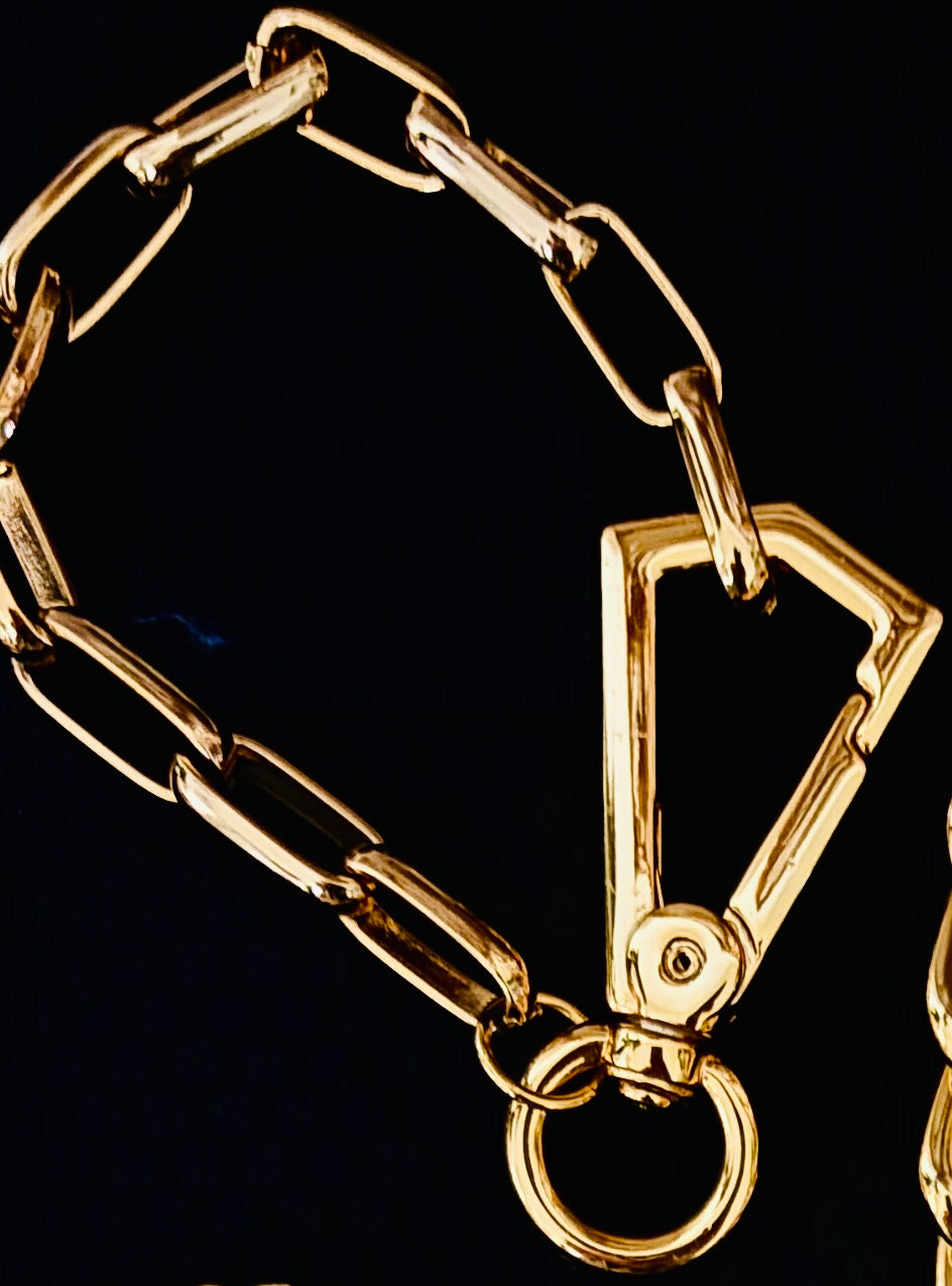 Golden Link Carabiner Bracelet
