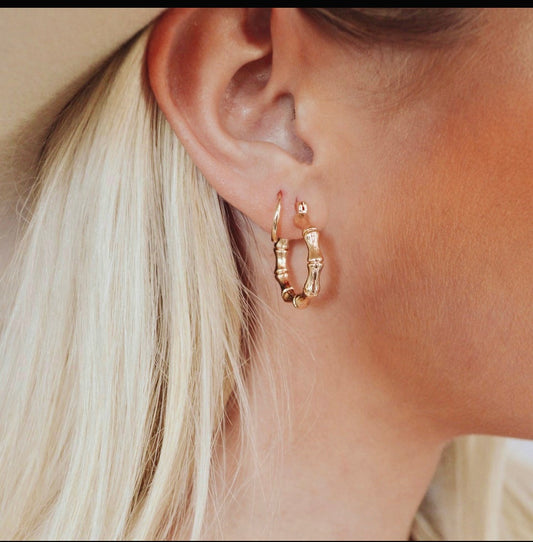 Whispers of Gaia: Small Bamboo Essence Hoop Earrings